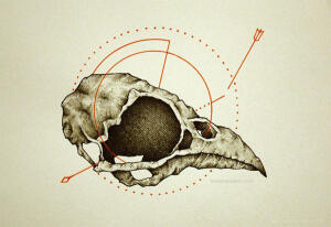 钢笔水彩插画欣赏---酷图编号1055219