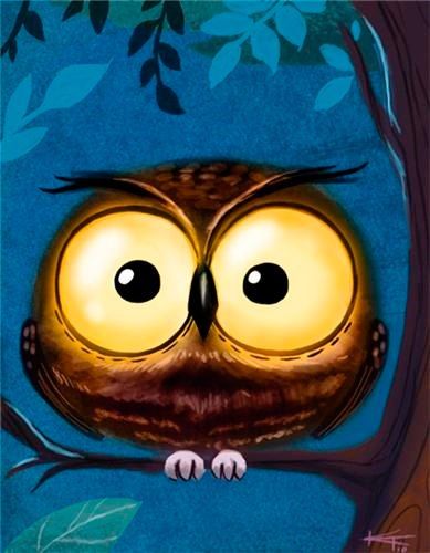 Owl drawing. ~And you thought YOUR owl drawing had big eyes! This one looks like it had too much expresso... @Brianna Shanholtz