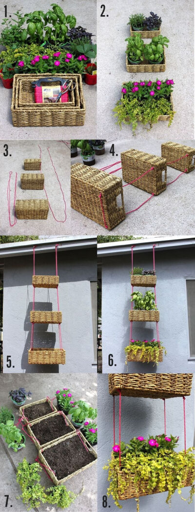 DIY hanging basket garden