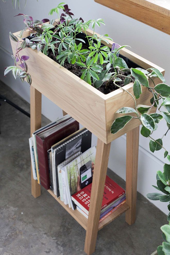 a beautiful indoor planter by Hedge House