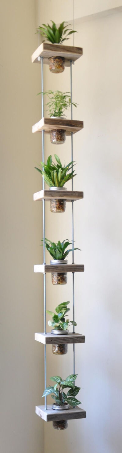 hanging planter