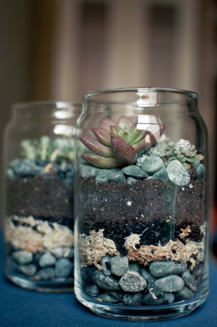 Recycle Reuse Renew Mother Earth Projects: How to make Mason Jar Succulent Gardens