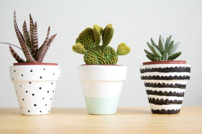 Adorable painted succulent pots // A Little Birdy Blog