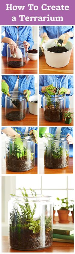 It's easy to make a beautiful terrarium! Click for our step-by-step instructions: http://www.bhg.com/gardening/houseplants/care/make-a-terrarium/