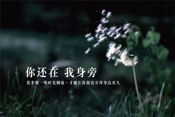  央视2015春节诗意广告短片《时光倒流》这段短片或许是央视今年推出的广告中最文艺的一段广告了，慢镜头缓缓划过，在轻音乐下，阐述时光如何静静逆流，为着一个令人动容的理由。 片子一开始用了大量的空镜头和结合这首动人小诗的语句，在充满流动质感的轻音乐伴奏下，带来一种别致的文艺气息。以递进的手法，从瀑布逆流到日出西方，一步步引出这些现象背后的真意，难道要时光倒流我们才会留在父母身边更久吗？