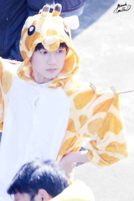 @TFBOYS-王源 把Roy牌鹿由器挂阳台上 是要把可爱发射到全世界吗？！！新年快乐所有小汤圆