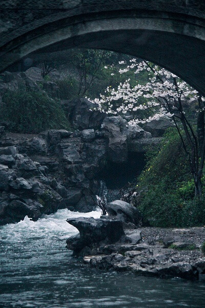 【美丽的中国】水流花开。