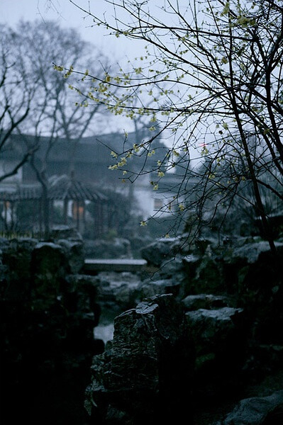 【美丽的中国】雨后黄昏的留园，弥散着冬春交际之时的梅香。倚着山石，你没有来，我却是不想走了。