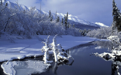 每年冬季的到来各地降雪频繁，到处可见“雪压冬云白絮飞”、“山舞银蛇，原驰蜡像，欲与天公试比高。”的景致。这多像一幅美丽的雪景图啊！这恐怕连最好的画家也无法描绘。看到这场美丽的雪景，小编我也是醉了，你呢…