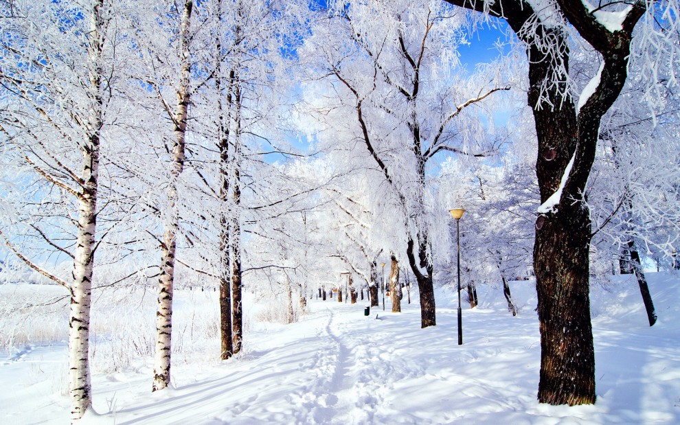 雪后，那绵绵的白雪装饰着世界，琼枝玉叶，粉装玉砌，皓然一色，真是一派瑞雪丰年的喜人景象。山坡上的树林，白得是那么纯洁、那么优雅、瞬间大地也变得狠纯洁狠萌萌哒，废话扯了这么多，关键是你喜欢吗，喜欢就来强势围观吧！