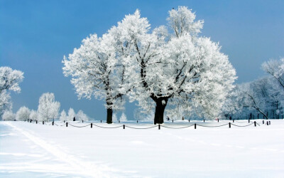 雪后，那绵绵的白雪装饰着世界，琼枝玉叶，粉装玉砌，皓然一色，真是一派瑞雪丰年的喜人景象。山坡上的树林，白得是那么纯洁、那么优雅、瞬间大地也变得狠纯洁狠萌萌哒，废话扯了这么多，关键是你喜欢吗，喜欢就来强…