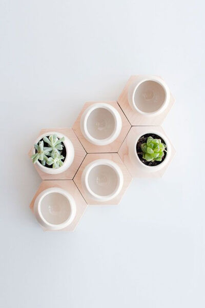 hex spora planters