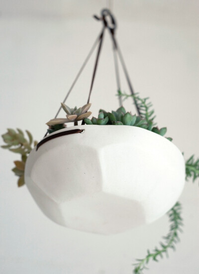 An artful way to hang your plants.