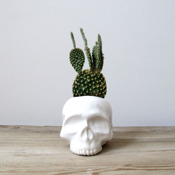 Ceramic Skull Planter perfect for cactus succulent or by mudpuppy, $42.00