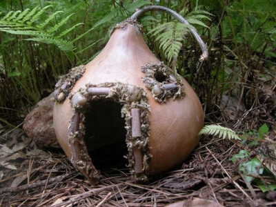 Gourd fairy house by beryl