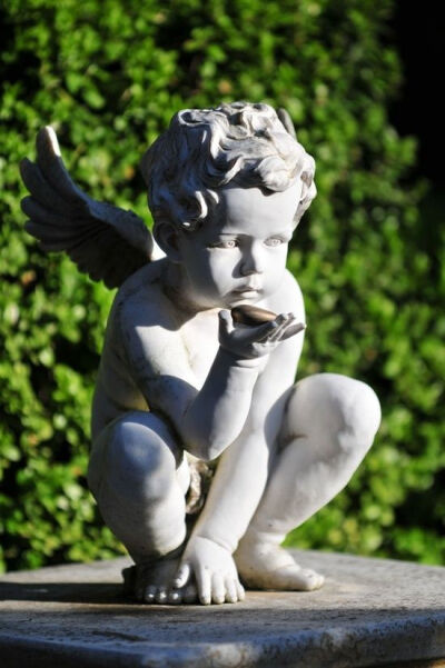 THIS BABY BOY ANGEL IS BLOWING ANGEL DUST TO POLLINATE ALL THE FLOWERS IN THIS LOVELY GARDEN…….BLOW HARD LITTLE ONE…………..ccp