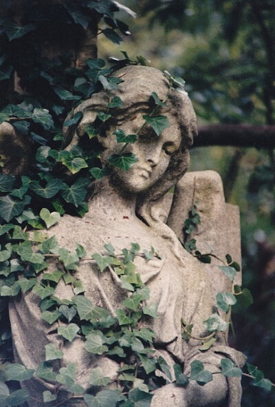 ivy cemetery angel