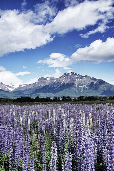 Patagonia, Argentina via Behance