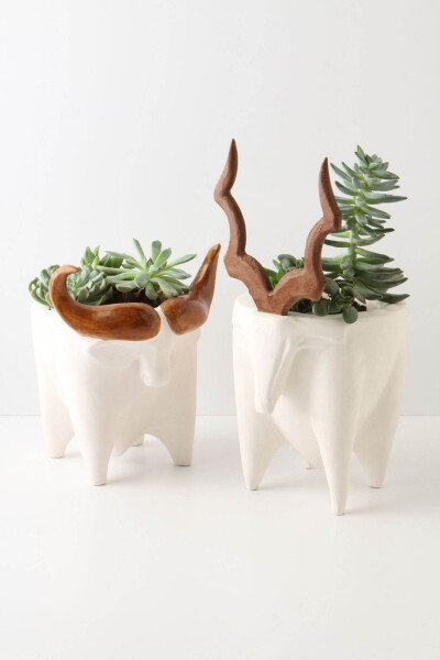 Horns Greenside Planters