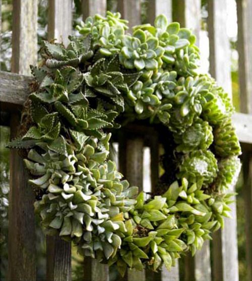 sedum wreath