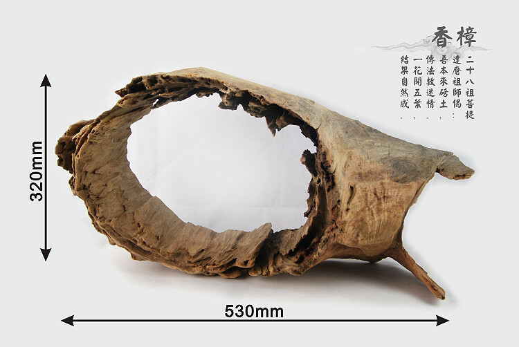 香樟木艺术摆件(不含陶瓷石湾公仔) 艺术与想象的完美融合, 气味芳香所存物品取用时带有自然淡雅的幽香留香持久沁人心脾