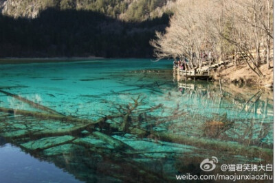 刚才跟朋友聊天，说到中国很多地方旅游都无比的失望，名副其实，然后朋友就说哪里还有不让人失望的。我答：“九寨沟。虽然去过的人都说好的天上有地下无，也看了很多照片和电视宣传，但是去九寨沟的时候，我们依然被…