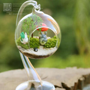 水晶玻璃吊球花器 苔藓微景观龙猫多肉花盆景植物盆栽苔藓瓶小品