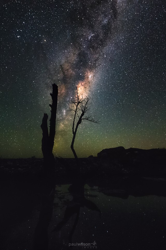 银河与树，图源Paul Wilson Images NZ