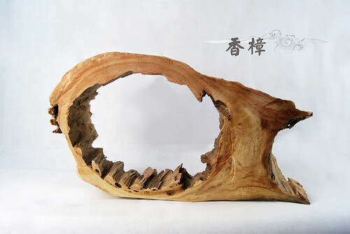 香樟木艺术摆件,艺术与想象的完美融合, 气味芳香所存物品取用时带有自然淡雅的幽香留香持久沁人心脾(分享美好,来源:希言堂)