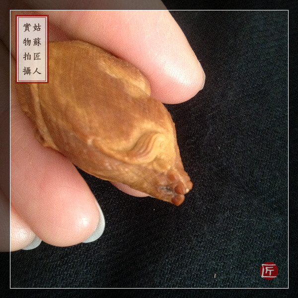 姑苏匠人 橄榄核雕单籽 三藏本工 苏工手工 大象 吉祥平安