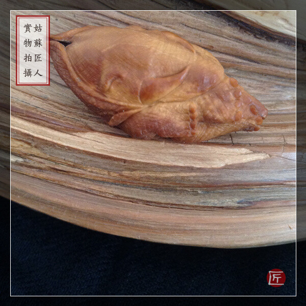 姑苏匠人 橄榄核雕单籽 三藏本工 苏工手工 大象 吉祥平安