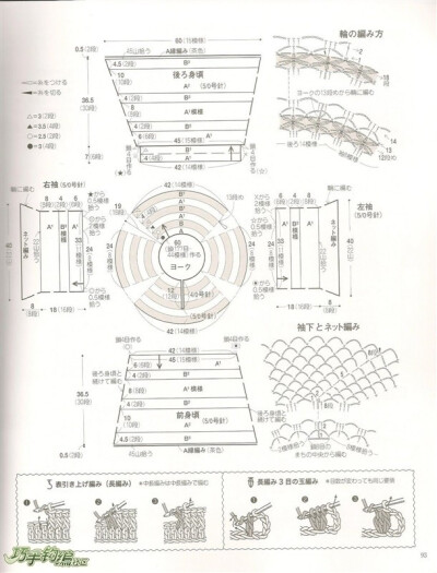 钩衣