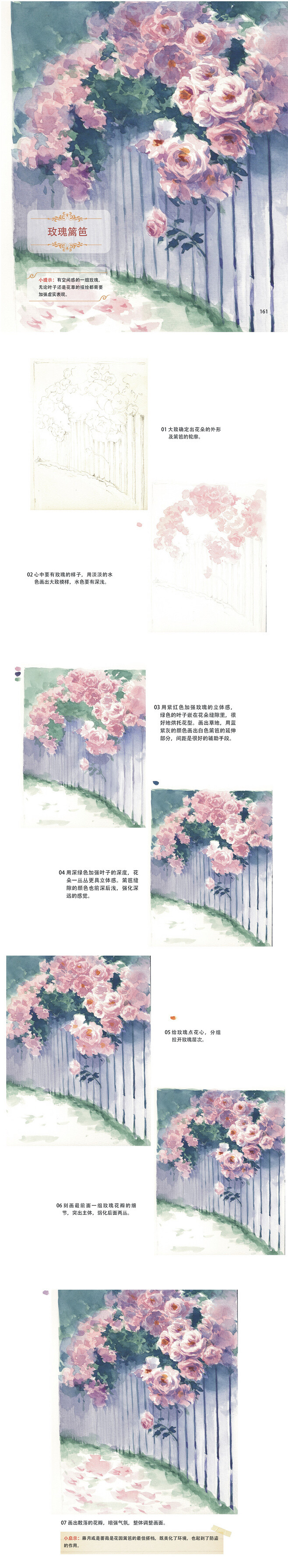 【水彩绘画教程】玫瑰篱笆