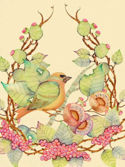 三月，又到了一個鳥語花香、春暖花開的季節了。by Collen Parker