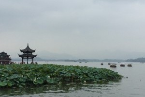 扬州到【杭州西湖_西溪湿地三日游】杭州自由行_宋城千古情好看