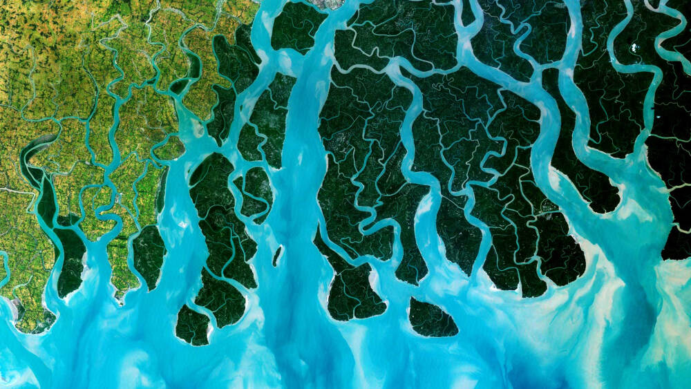 印度河孟加拉国，恒河三角洲的卫星图片 Sunderbans