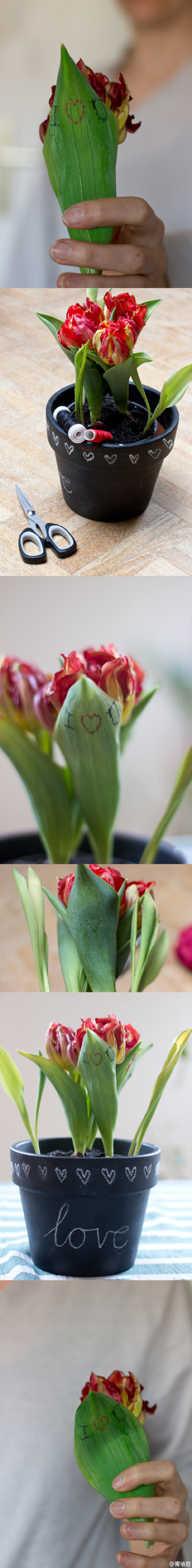 #EMBROIDERED TULIP LEAF# for an easy Valentine's Day DIY gift，by Sarah Halbeisen。刺绣于郁金香叶子上的爱~花朵愈凋零，线迹愈鲜明，如此的罗曼蒂克呐，如此优雅静谧的表白，多好的情人节礼物！年轻人~拿出勇…