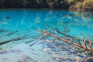 扬州到【成都_九寨沟_牟尼沟5日游】飞机动车任选_九寨沟旅游