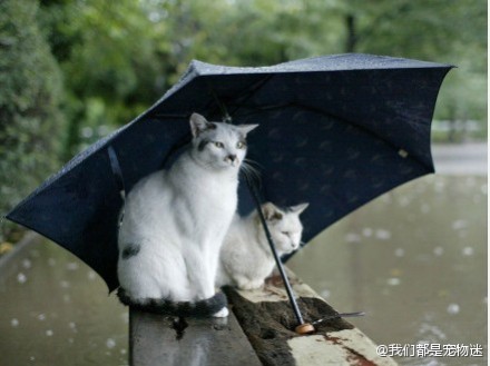 啊~情深深雨濛濛...世界只在你眼中。