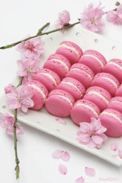 樱花季临近，东京凯悦、新大谷、四季等多家酒店纷纷推出“樱花色马卡龙”……粉色控甜品控们简直一网打尽了