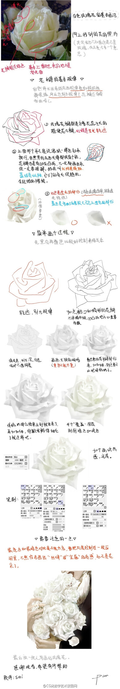 【教程】白色玫瑰花的画法