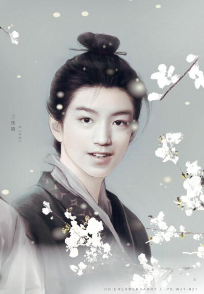 #王俊凯##TFBOYS王俊凯#【饭制古风】 待到君临天下时，蜀城无处不飞花 (cr：@WJT-921