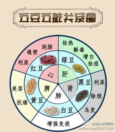 【豆类与五脏的关系】一张图让你看懂红豆、绿豆、黄豆、黑豆、白豆和五脏的关系。「转」@美食健康顾问