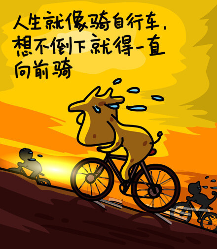 人生就像骑自行车想不倒下就得一直向前骑