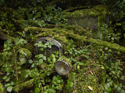 大师级摄影师Peter Lippmann以被遗忘的汽车为主题拍摄的艺术作品：天堂停车场。