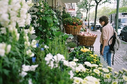 周末逛花市