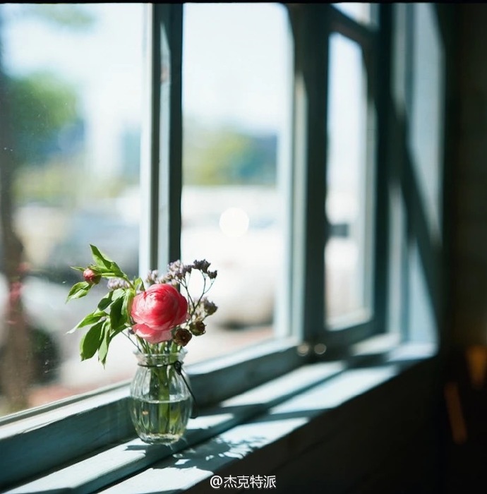 瓶花