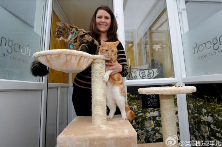 英国 Longcroft Luxury Cat Hotel是一间号称喵星人的五星级宾馆...... 大床房... 自动控温的空调... 骨瓷的餐具.... 各种私人的美容护理..... 宾馆老板表示我就喜欢溺爱这些猫们..... 刚开张没多久... 未来半年都已经被预订满了............