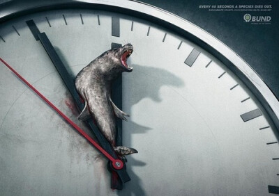 Every 60 Seconds a Species Dies Out. Each Minute Counts.