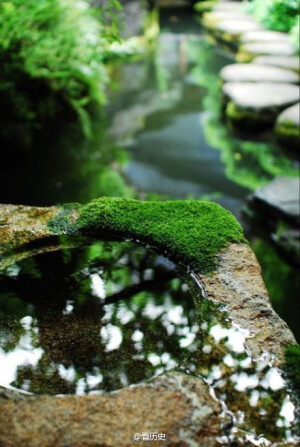 苔痕上阶绿，草色入帘青。